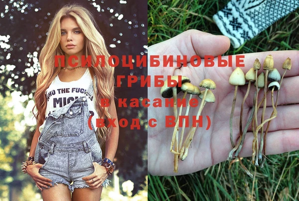 а пвп мука Абдулино