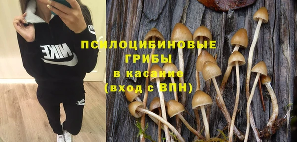 а пвп мука Абдулино