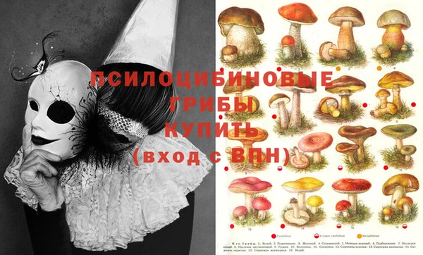 кокаин колумбия Абаза