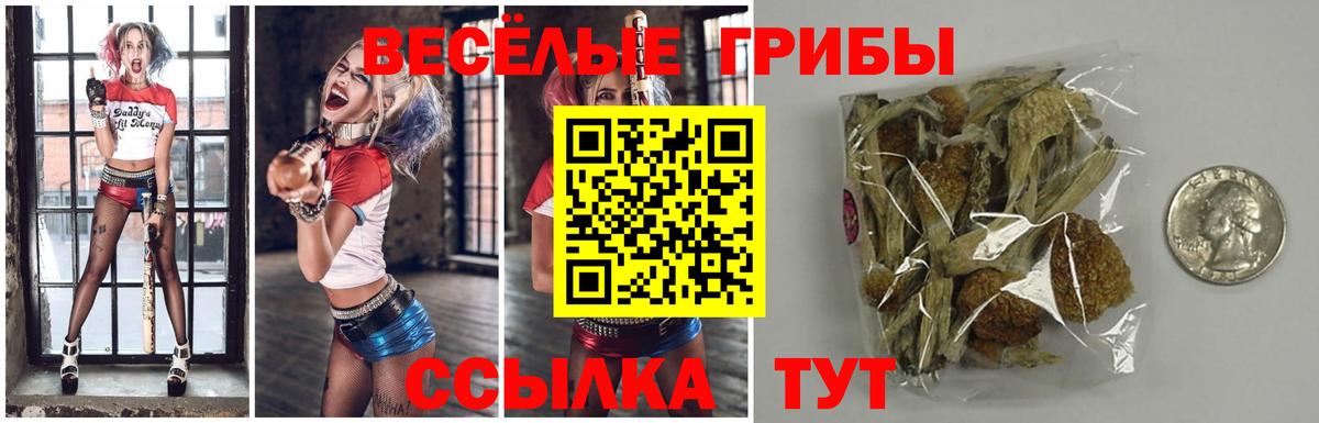 Галлюциногенные грибы мухоморы Златоуст